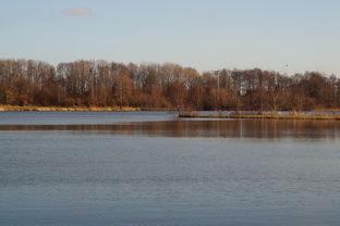 华体会娱乐平台-“东安湖体育公园迎来跑酷明星，挑战全新极限”
