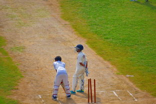 华体会登录-CBA是否推动球员选拔机制透明公平化,cba选择